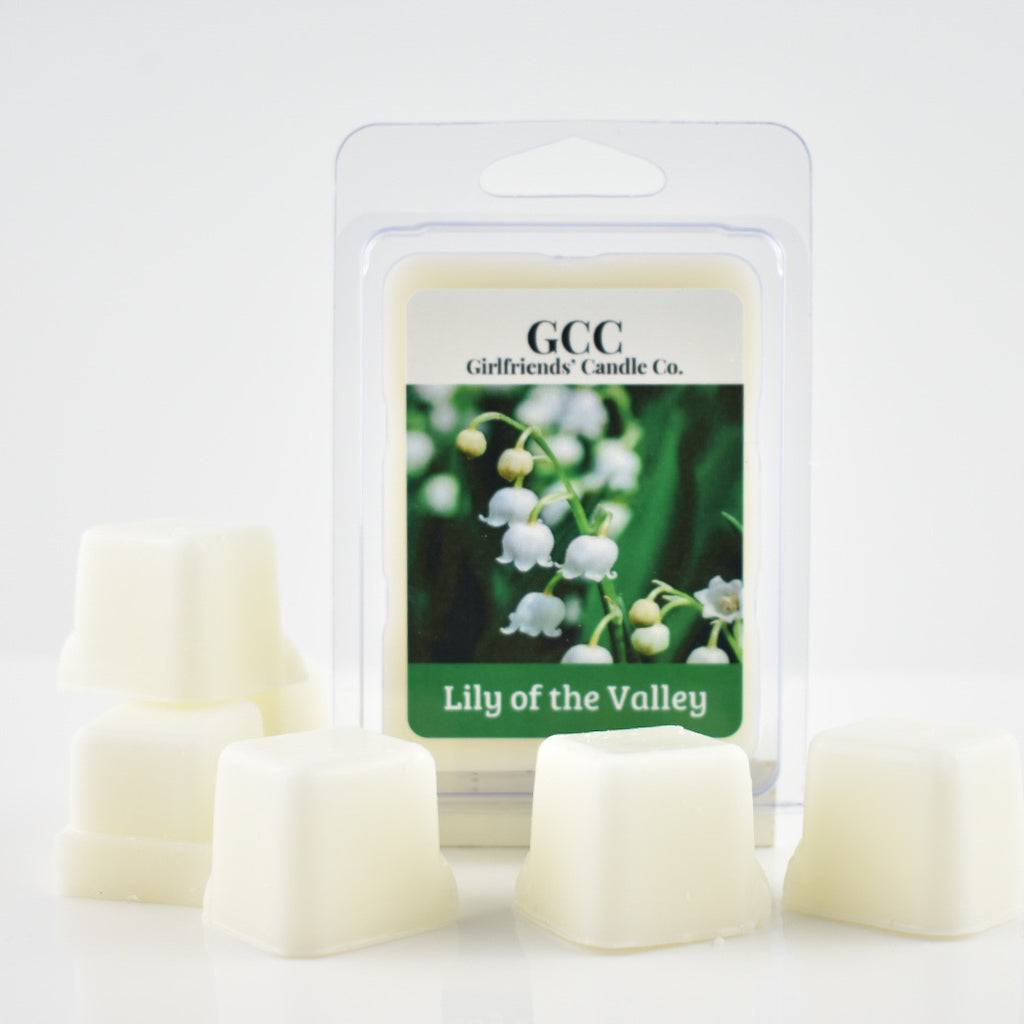 Eucalyptus Scented Wax Melt – Girlfriends' Candle Co.
